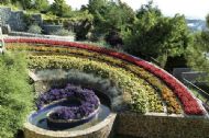 rainbow garden peco